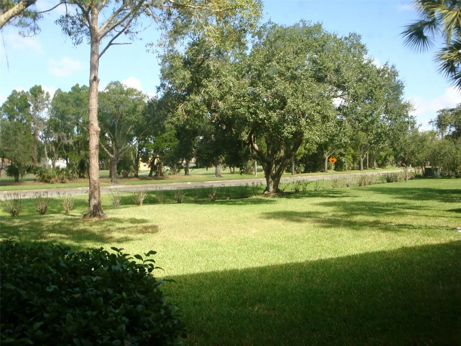 111 E Cypress Court Oldsmar FL 34677