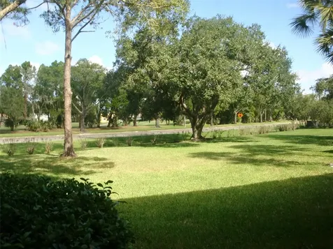 111 E Cypress Court Oldsmar FL 34677