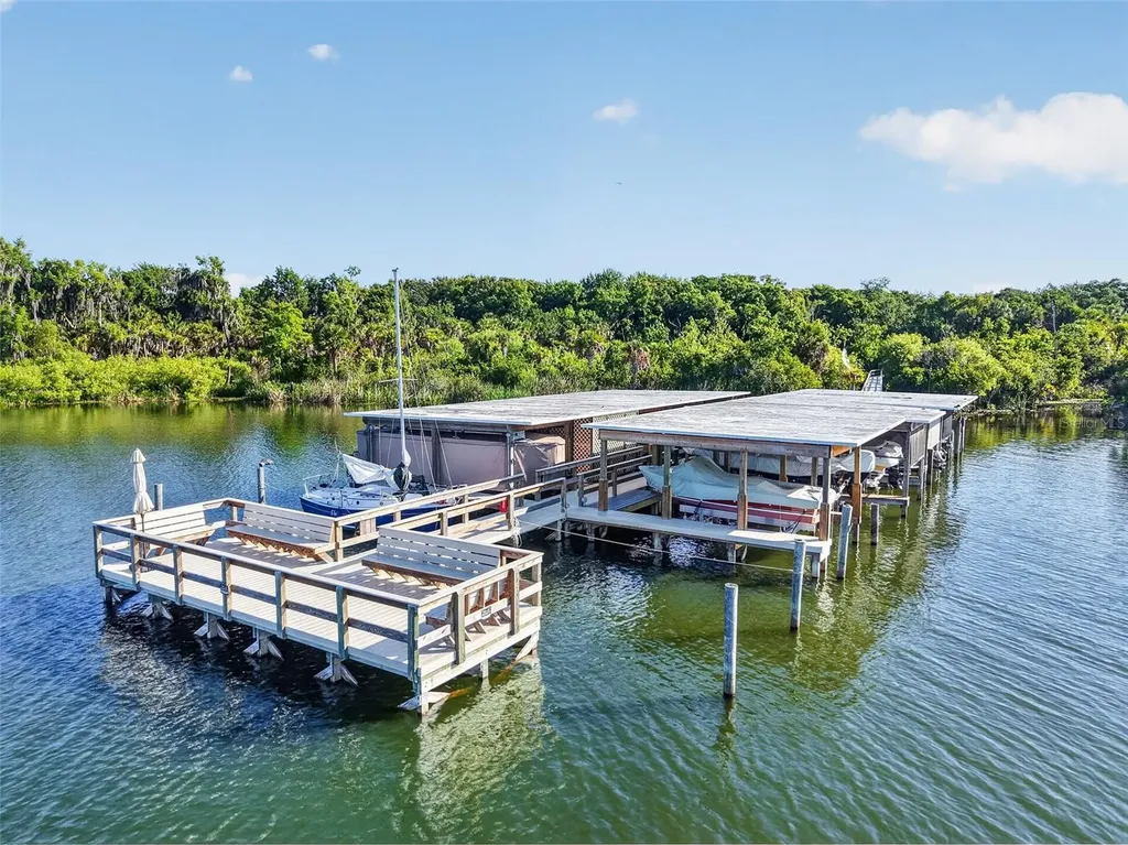 605 Sandlake Court Mount Dora FL 32757