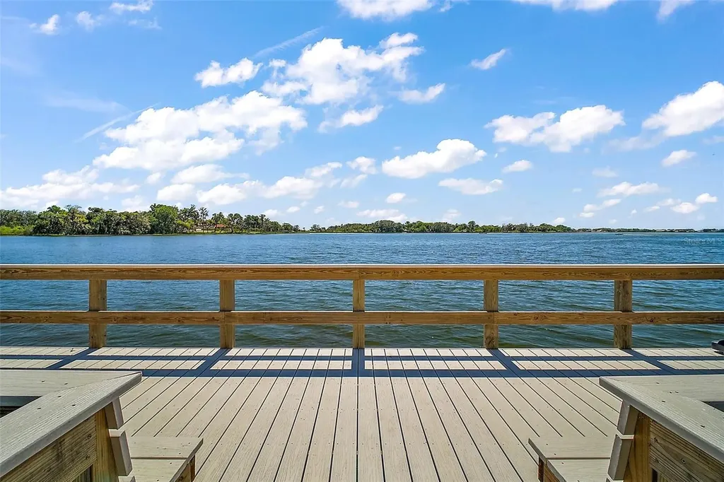 605 Sandlake Court Mount Dora FL 32757