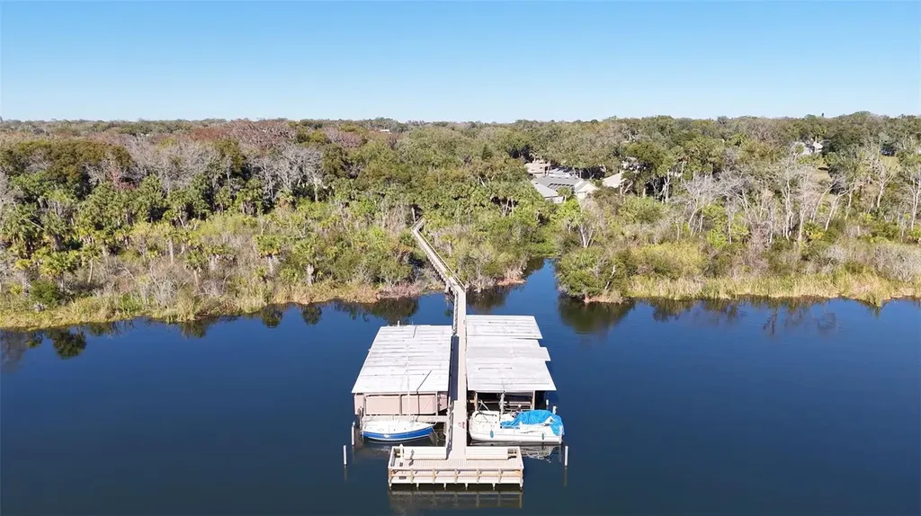 605 Sandlake Court Mount Dora FL 32757
