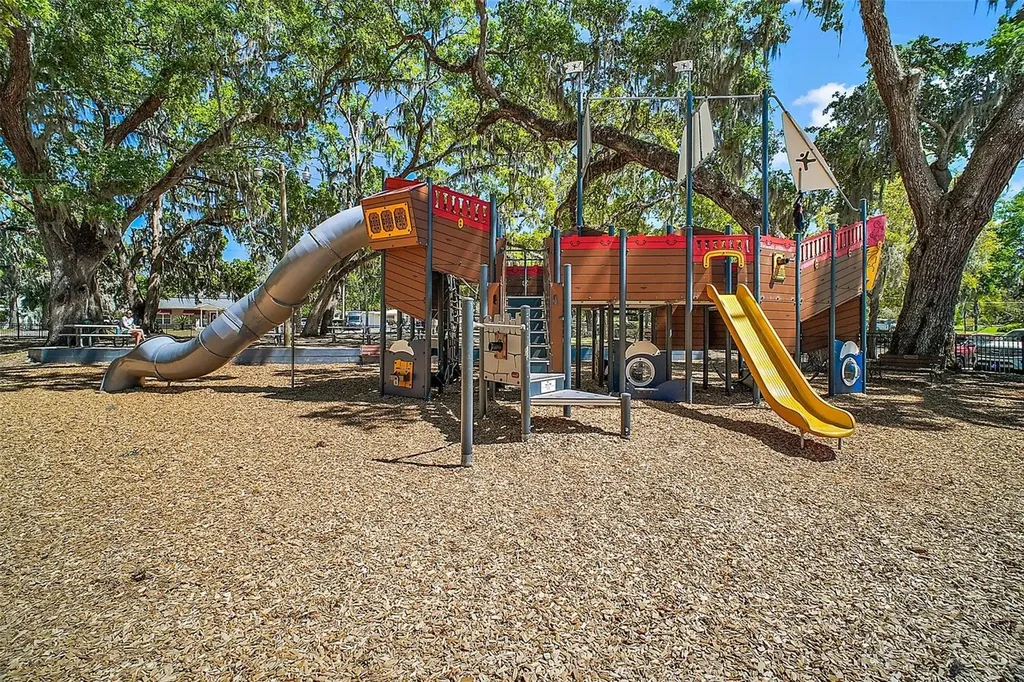 605 Sandlake Court Mount Dora FL 32757