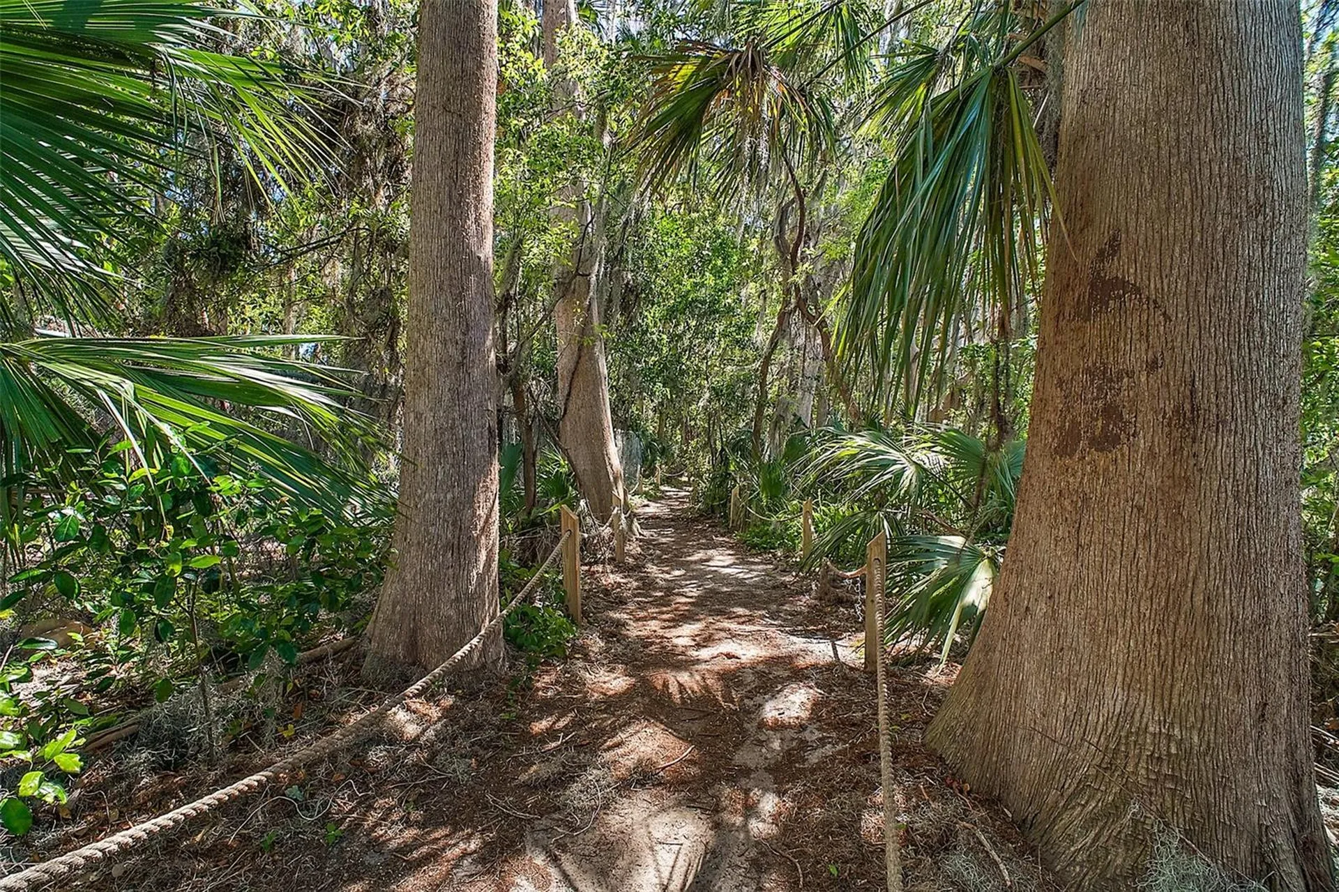 605 Sandlake Court Mount Dora FL 32757