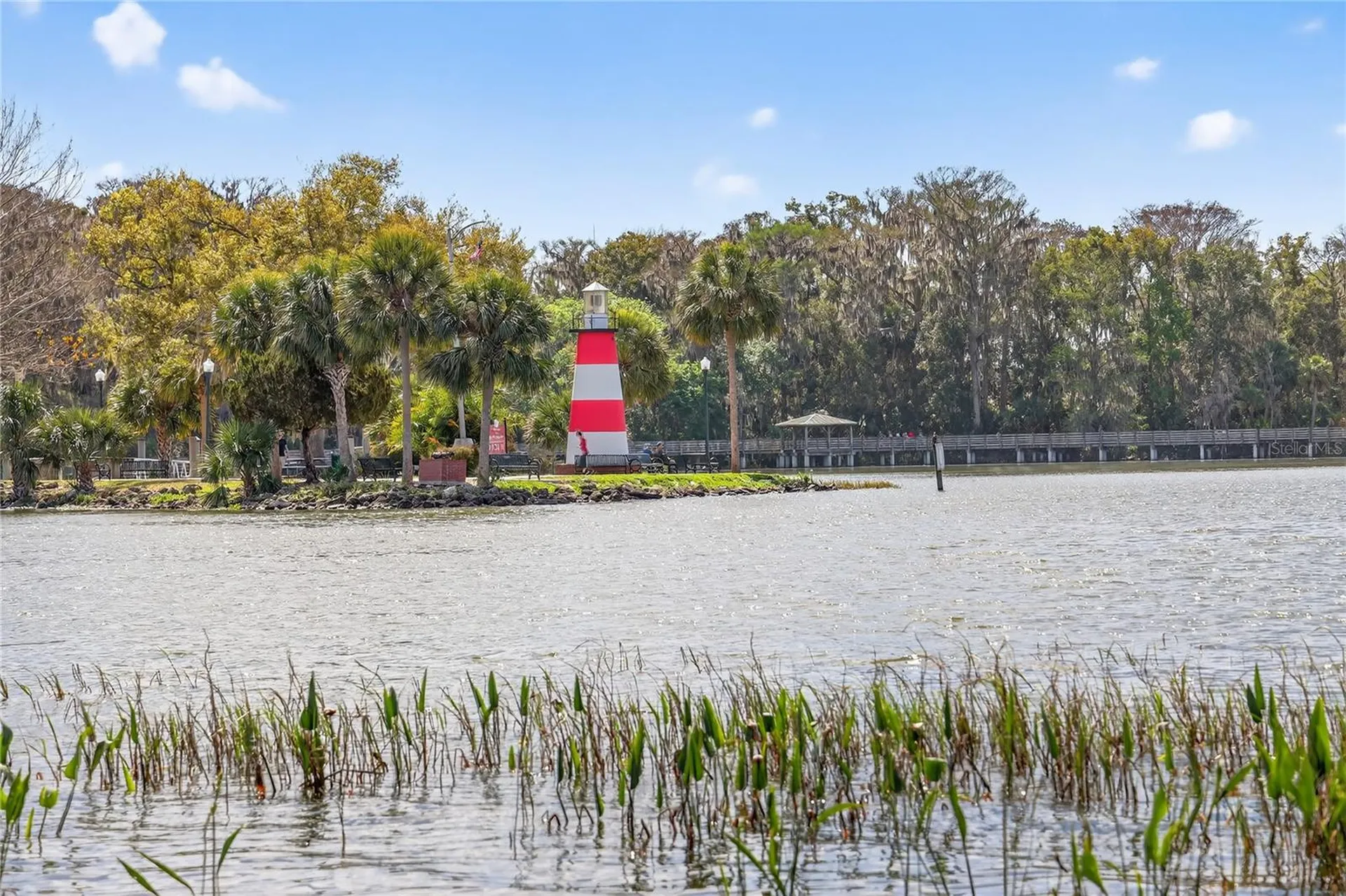 605 Sandlake Court Mount Dora FL 32757