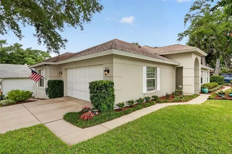 605 Sandlake Court Mount Dora FL 32757