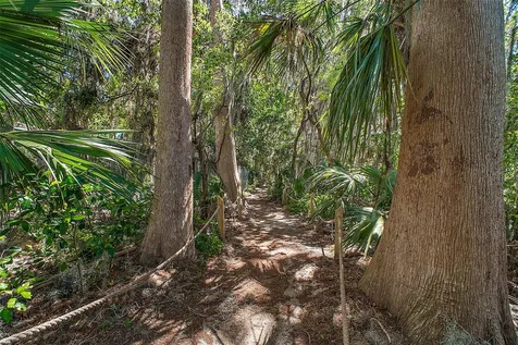 605 Sandlake Court Mount Dora FL 32757