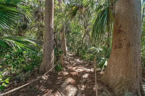 605 Sandlake Court Mount Dora FL 32757