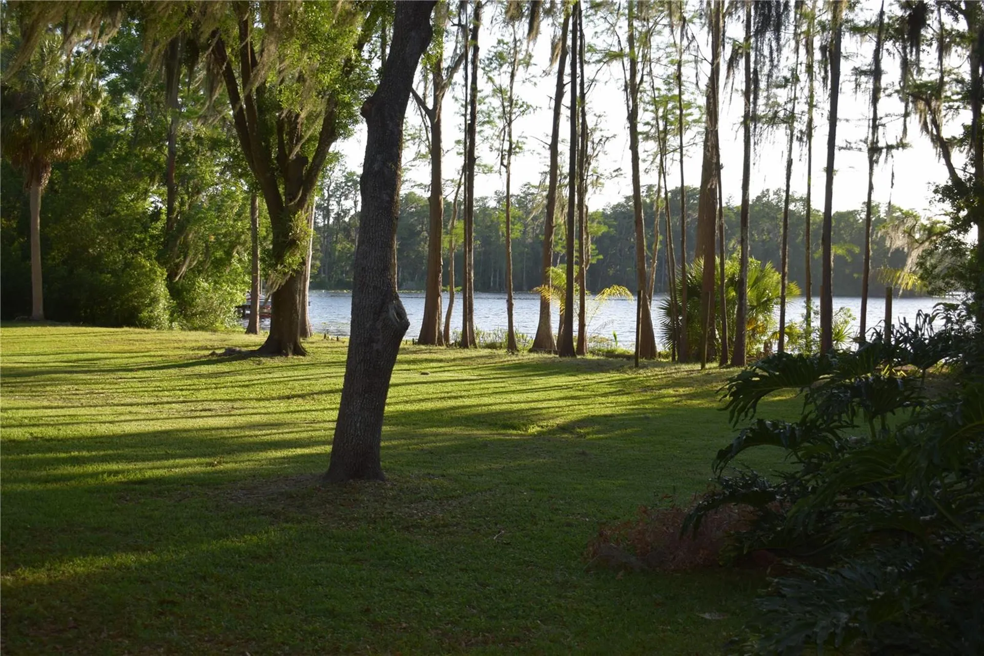 16308 Rock Lake Drive Odessa FL 33556