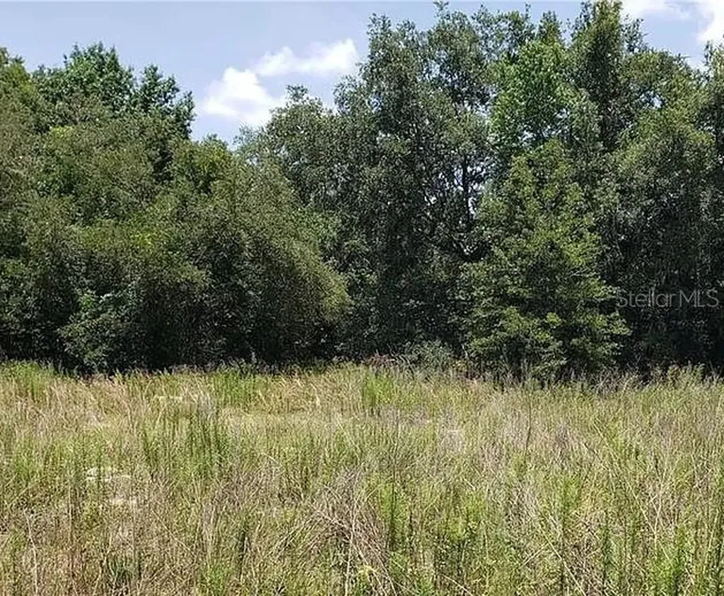 2412 Van Buren Street Inverness FL 34453