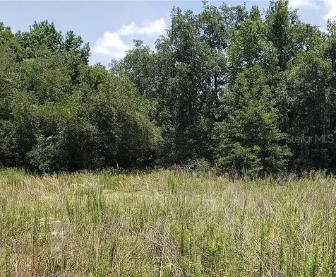 2412 Van Buren Street Inverness FL 34453