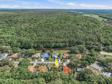 40 Bay Spring Place Palm Coast FL 32137