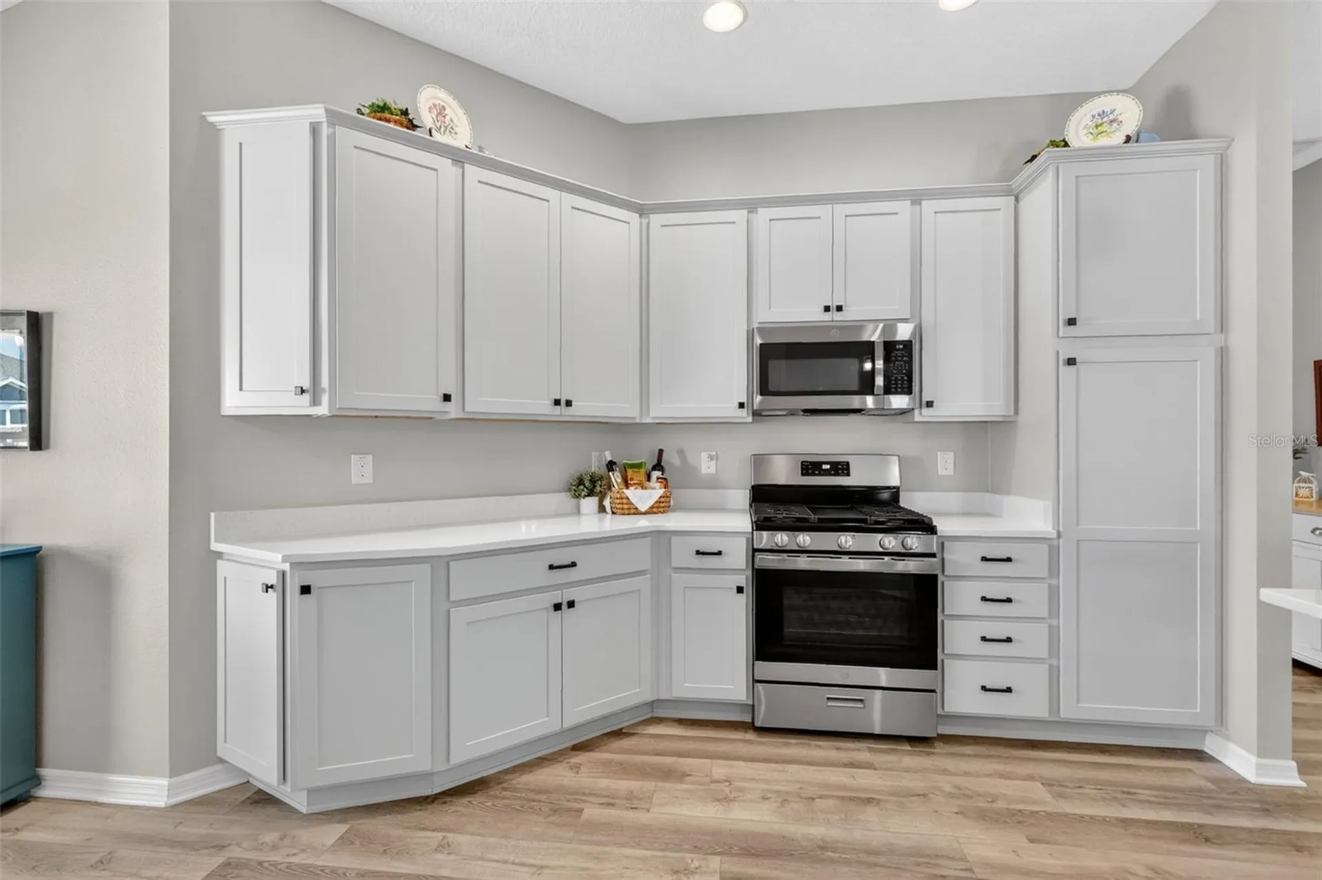 1713 Robbins Road The Villages FL 34762