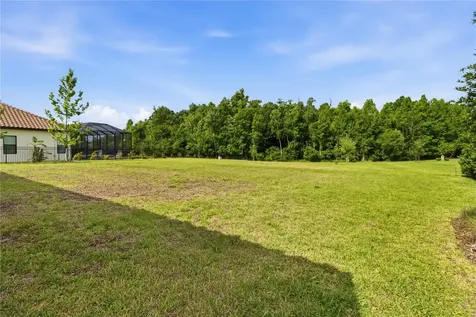 3018 Cordoba Ranch Boulevard Lutz FL 33559
