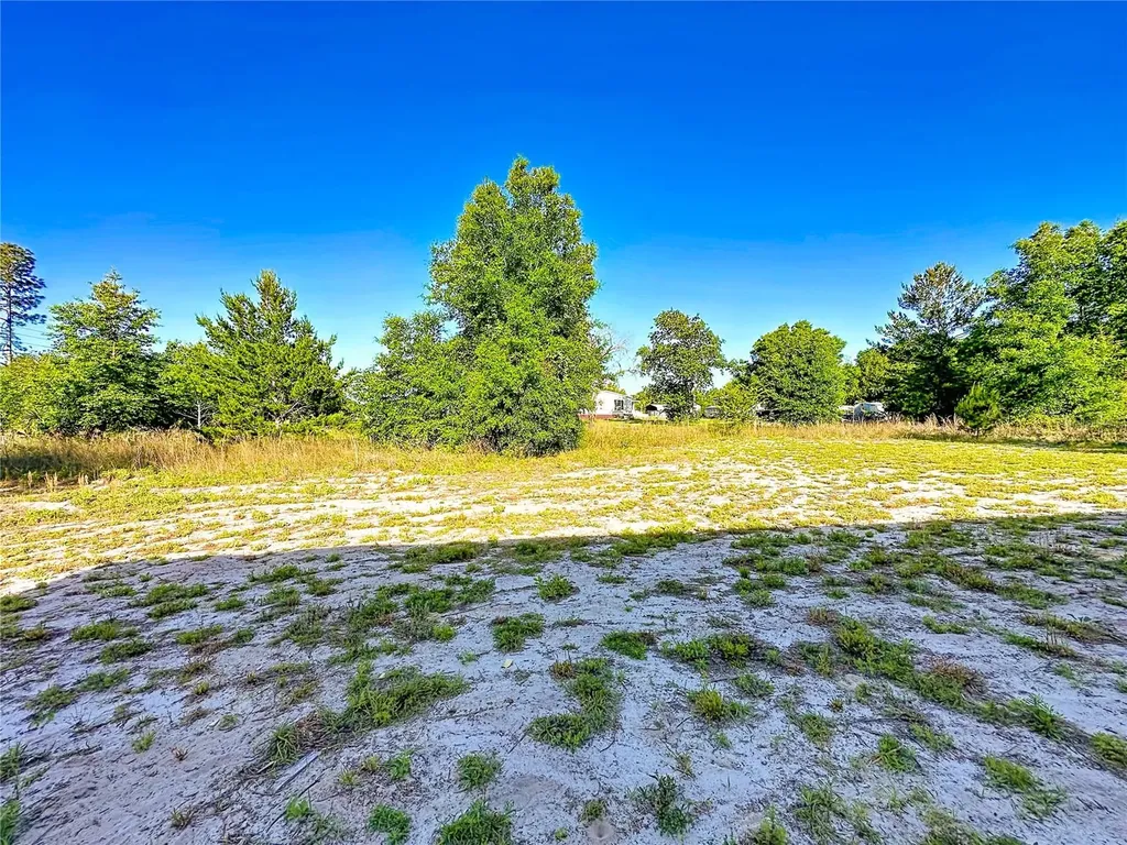 101 Orange Tree Street Pomona Park FL 32181