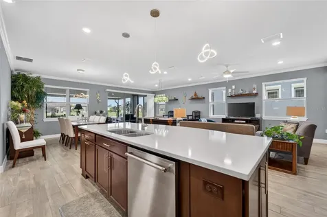 4729 Ballast Crest Cove Land O Lakes FL 34638