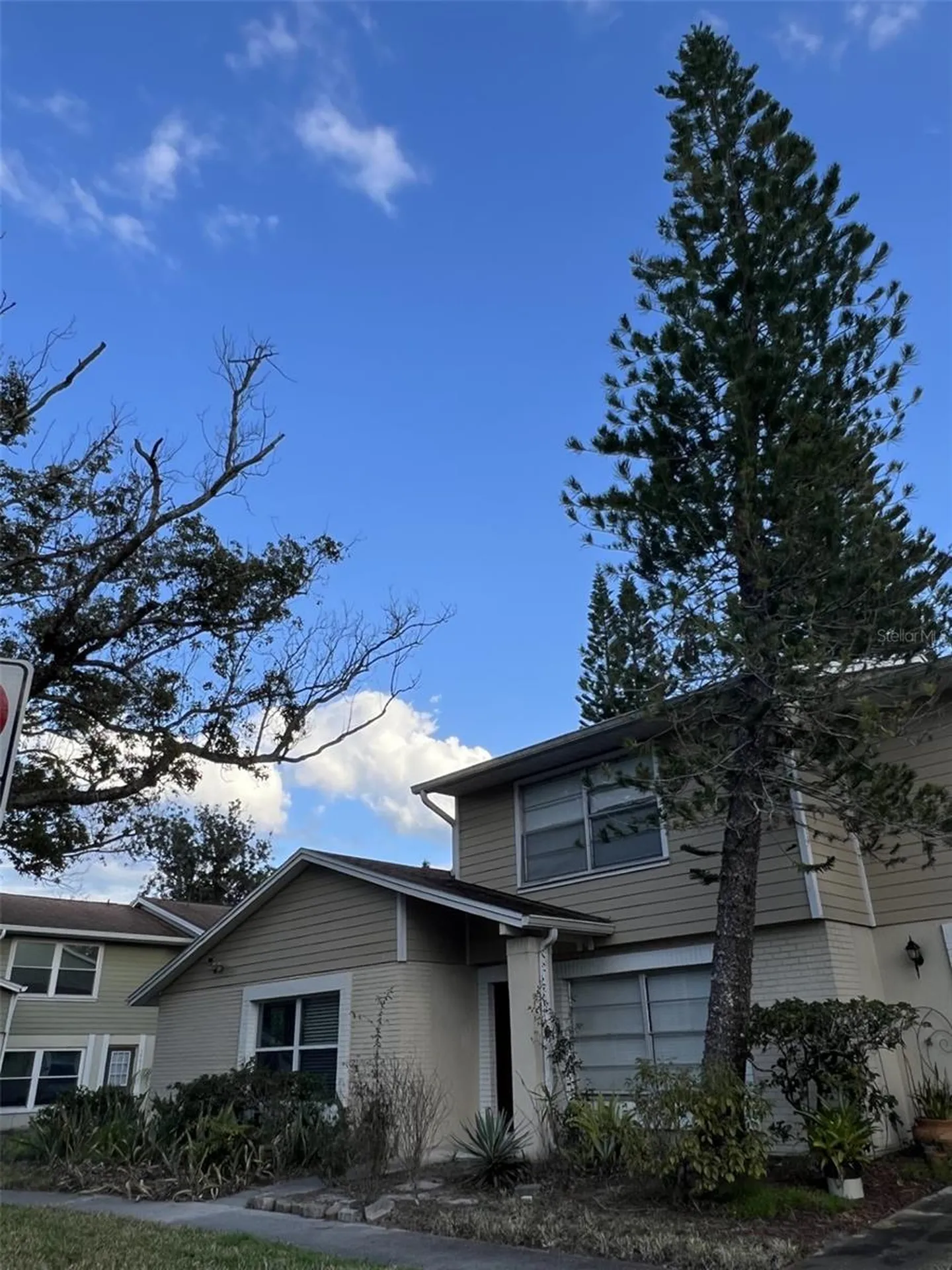 14627 Pine Glen Circle Lutz FL 33559