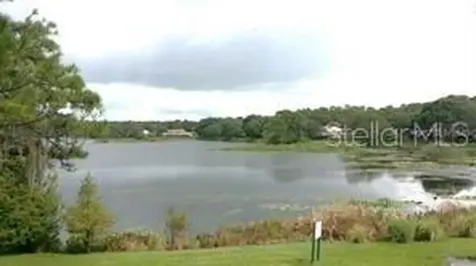 14627 Pine Glen Circle Lutz FL 33559