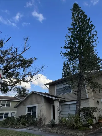 14627 Pine Glen Circle Lutz FL 33559