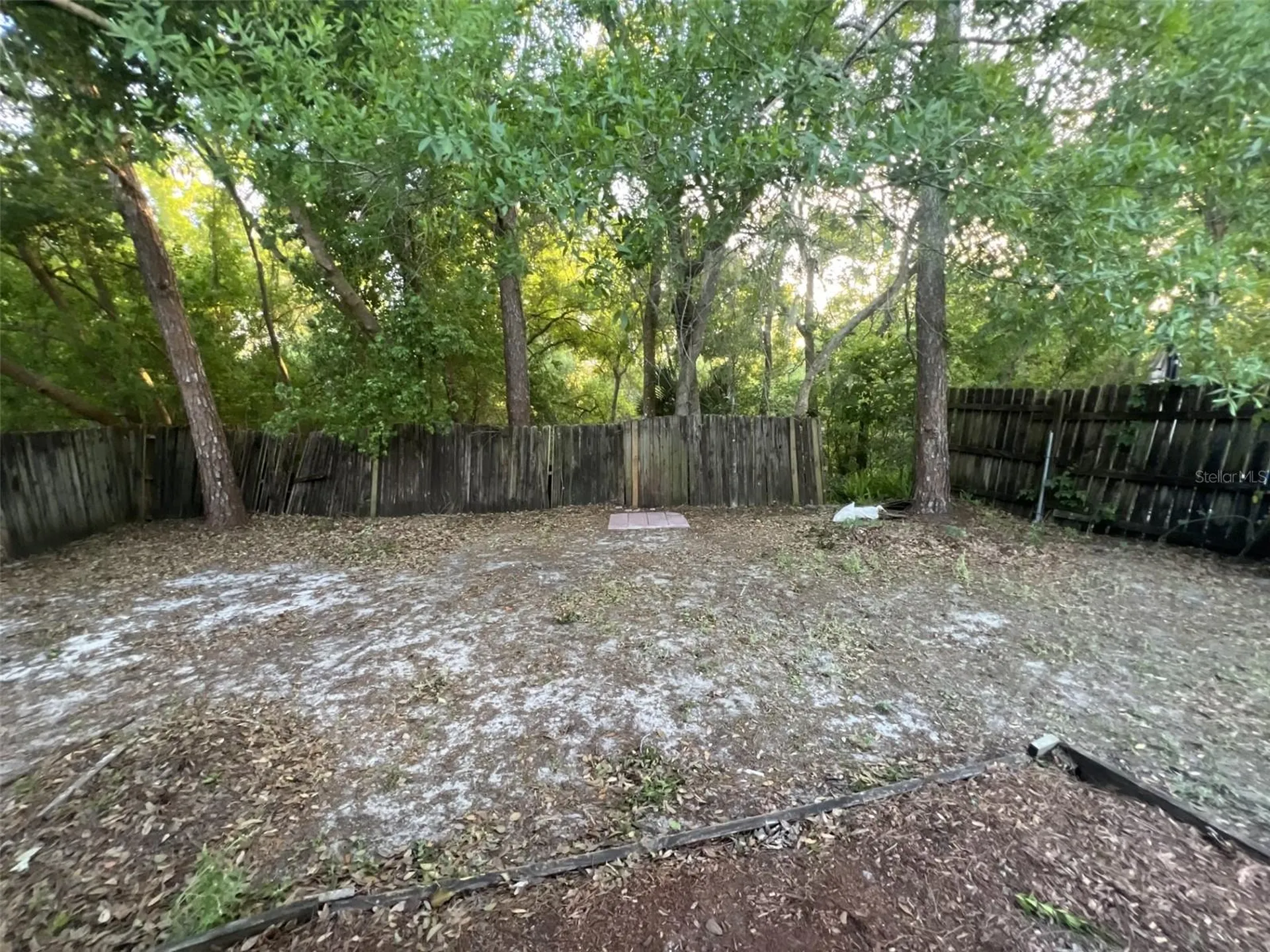 4843 Billy Direct Lane Lutz FL 33559