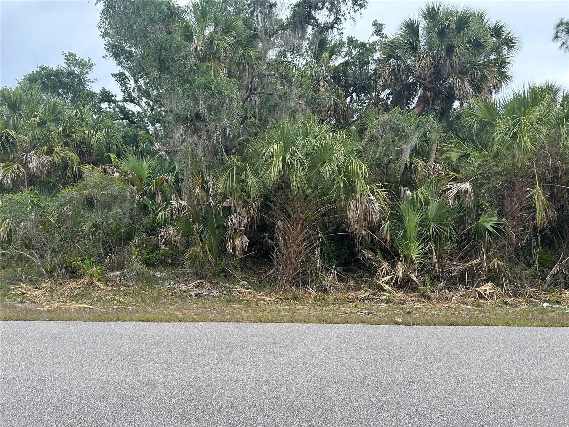 Basket Street North Port FL 34288