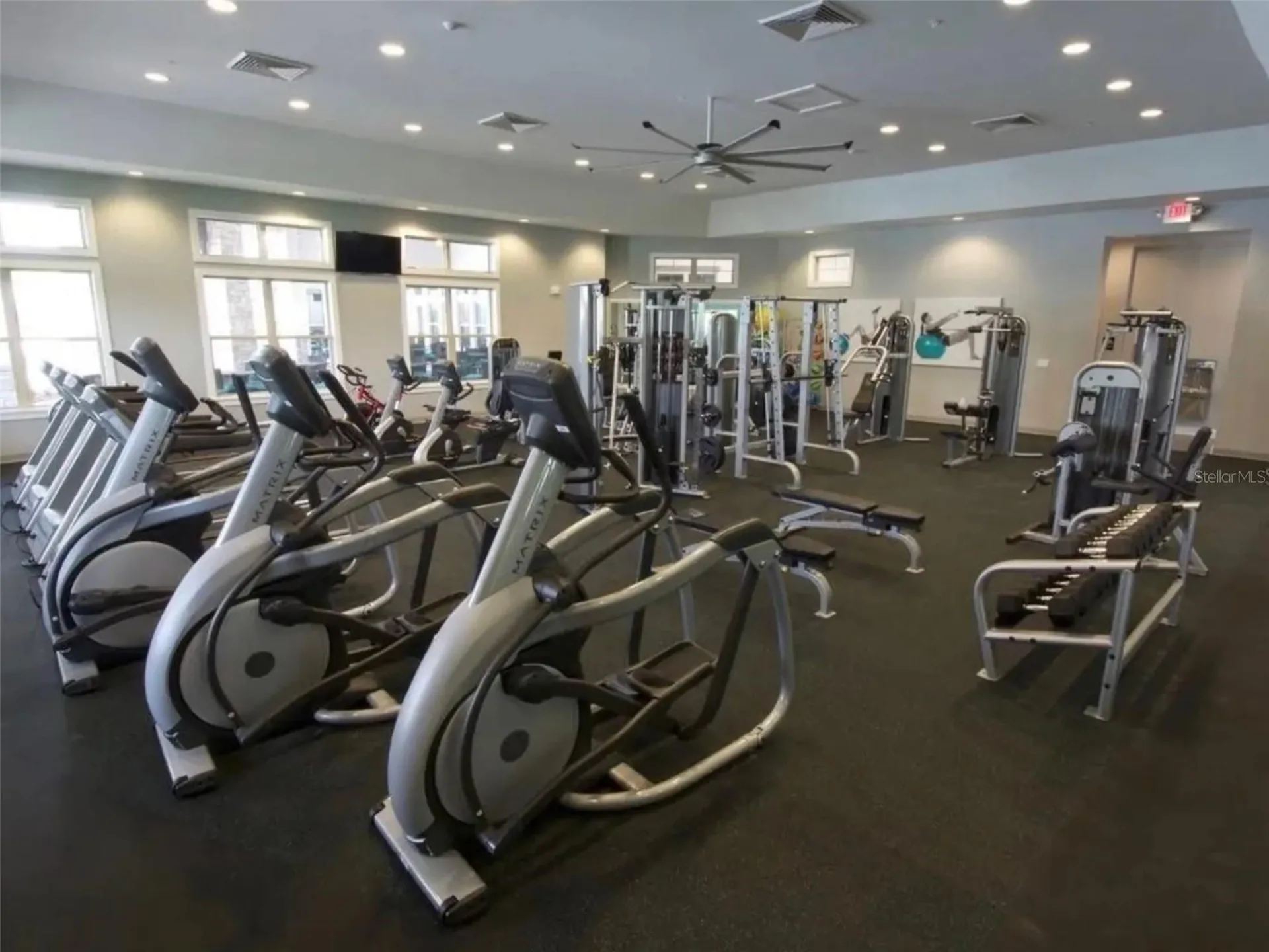 16226 Rock Coast Drive Winter Garden FL 34787