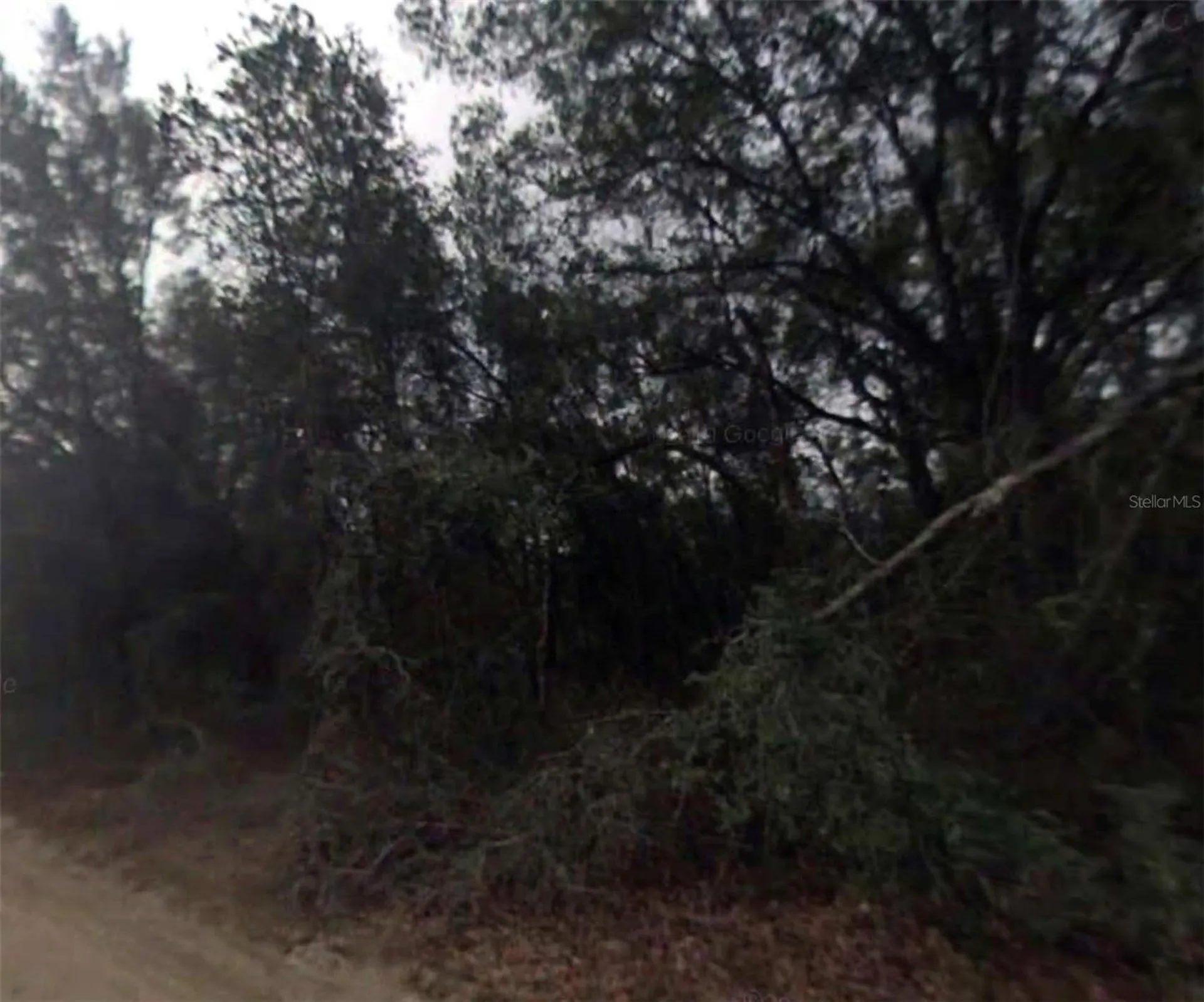 612 Longwood Avenue Inverness FL 34453