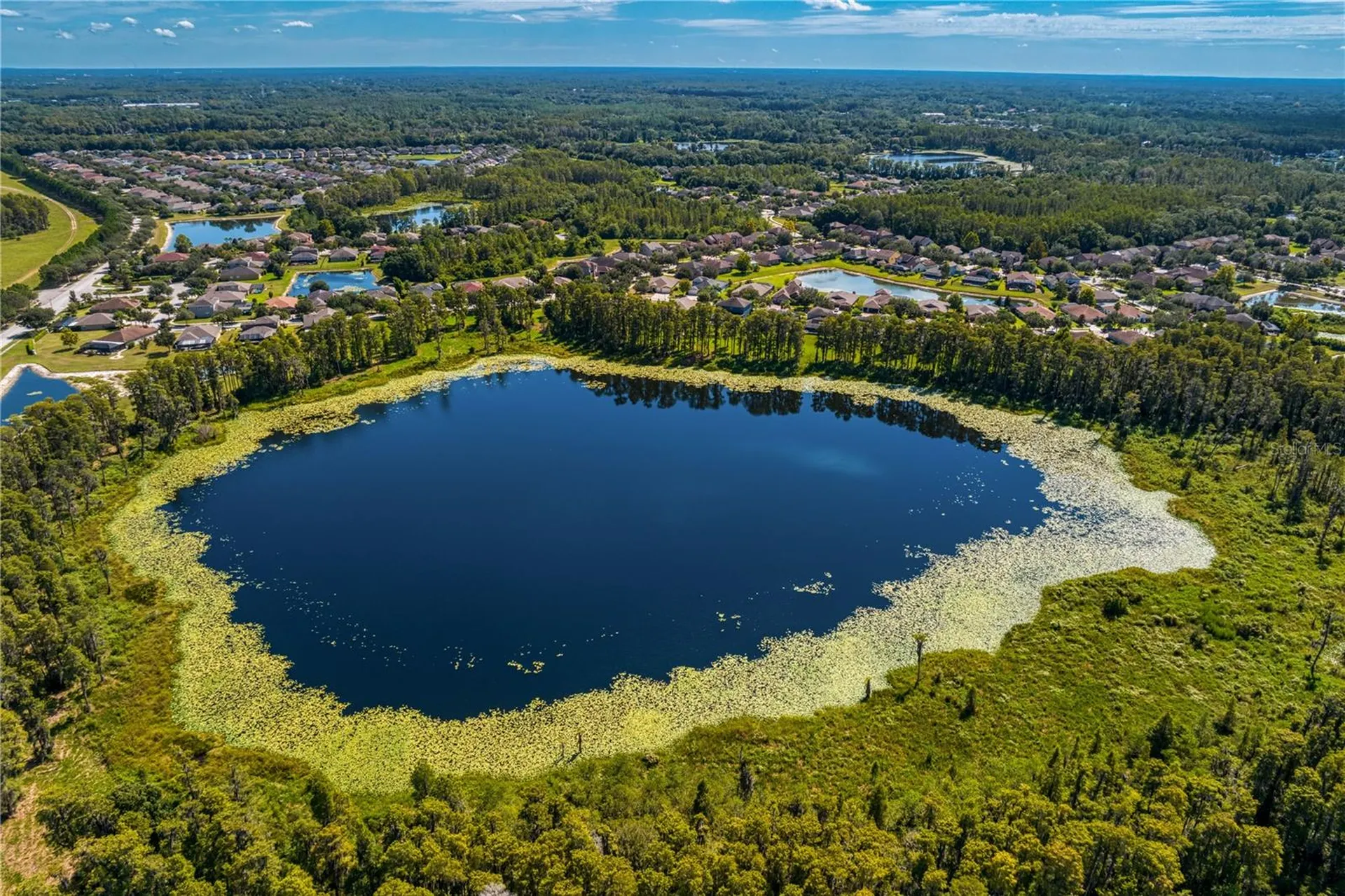 2837 Maple Brook Loop Lutz FL 33558