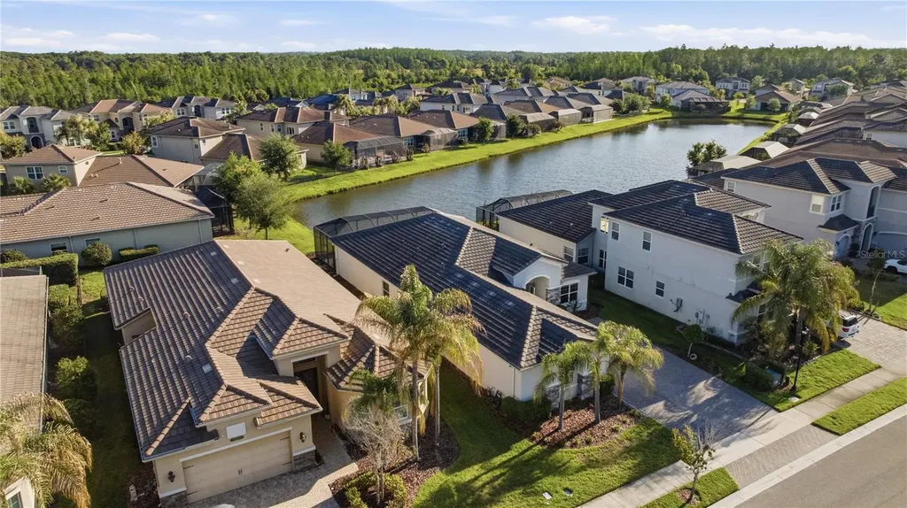 31490 Chesapeake Bay Drive Wesley Chapel FL 33543