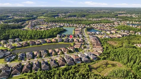 31490 Chesapeake Bay Drive Wesley Chapel FL 33543