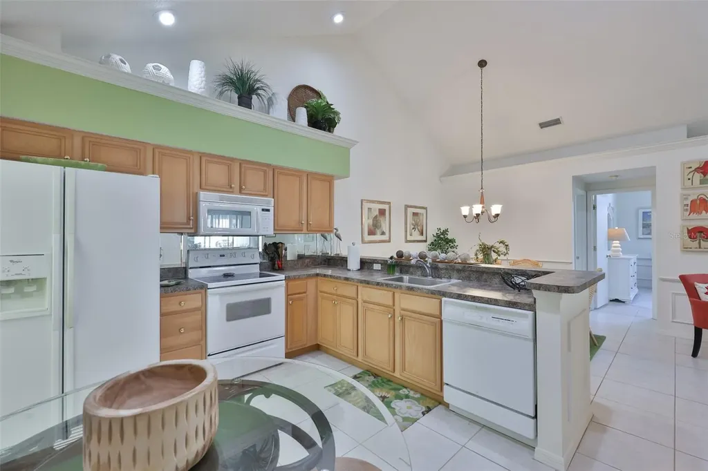 1115 Golfview Woods Drive Sun City Center FL 33573
