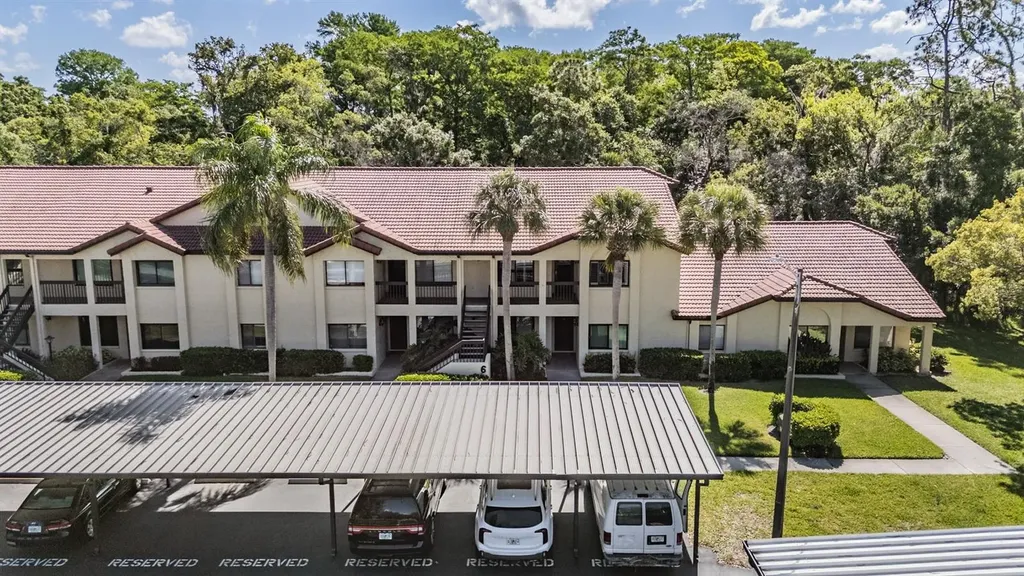 1801 E Lake Road Palm Harbor FL 34685