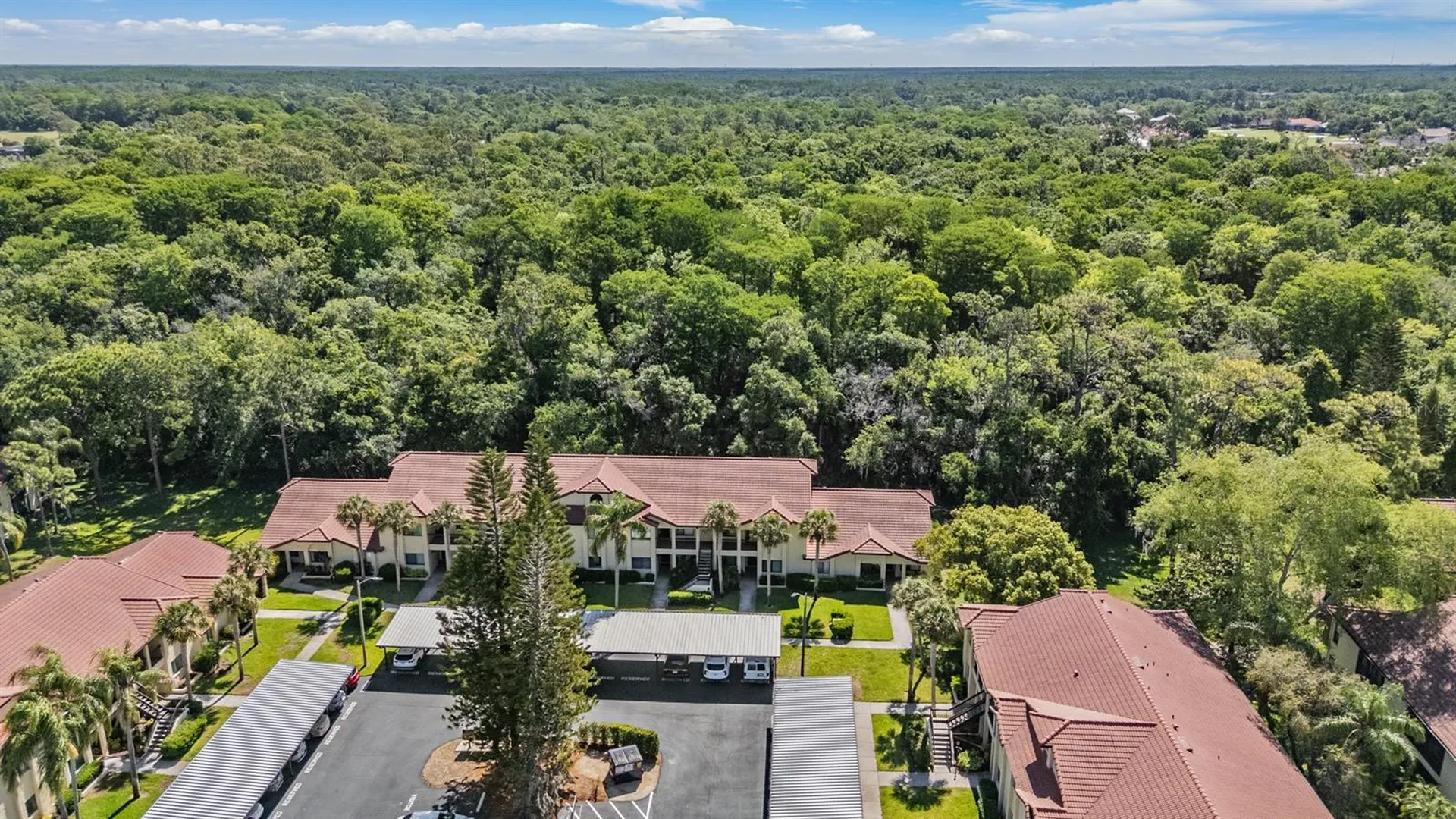 1801 E Lake Road Palm Harbor FL 34685