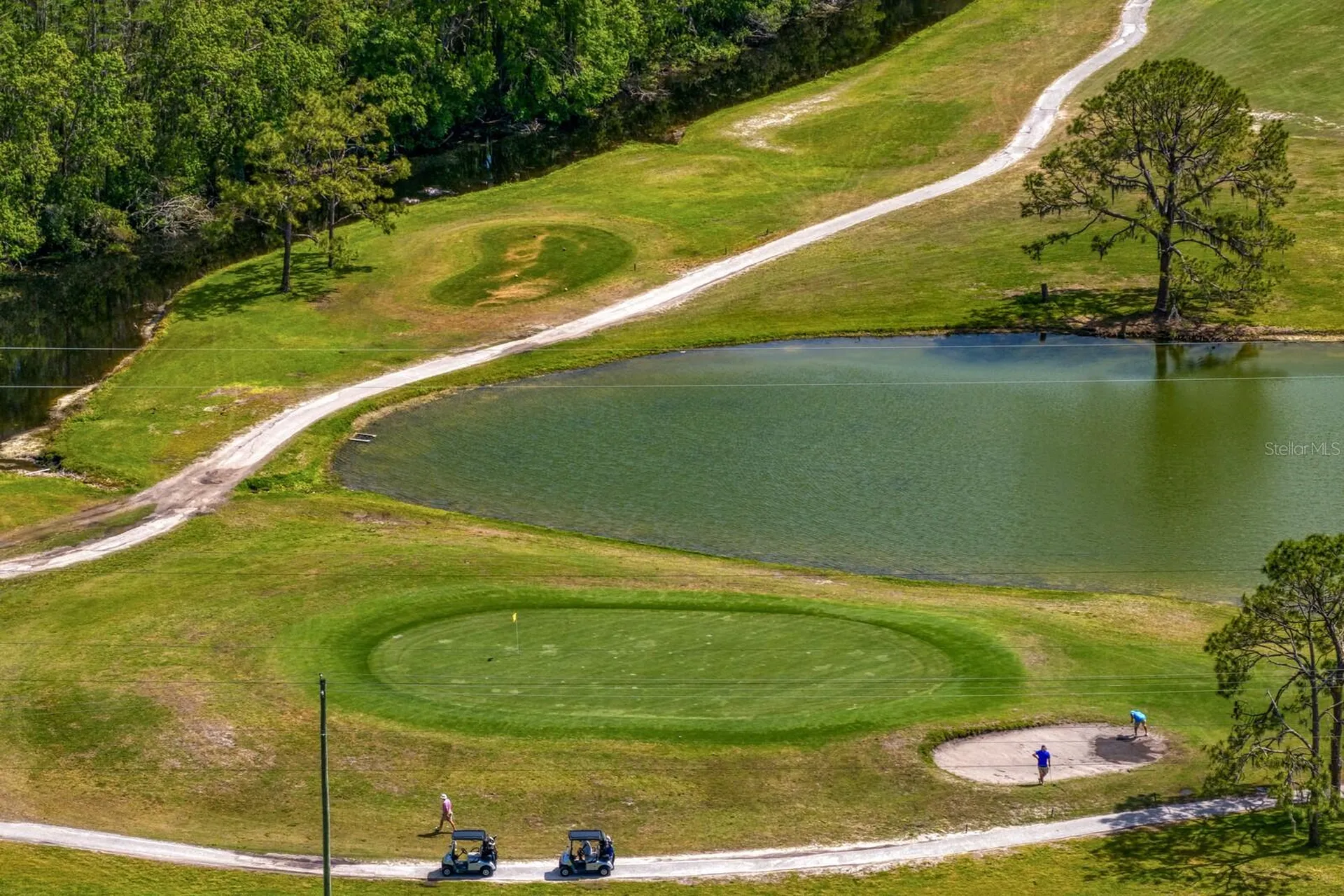 16701 E Course Drive Tampa FL 33624