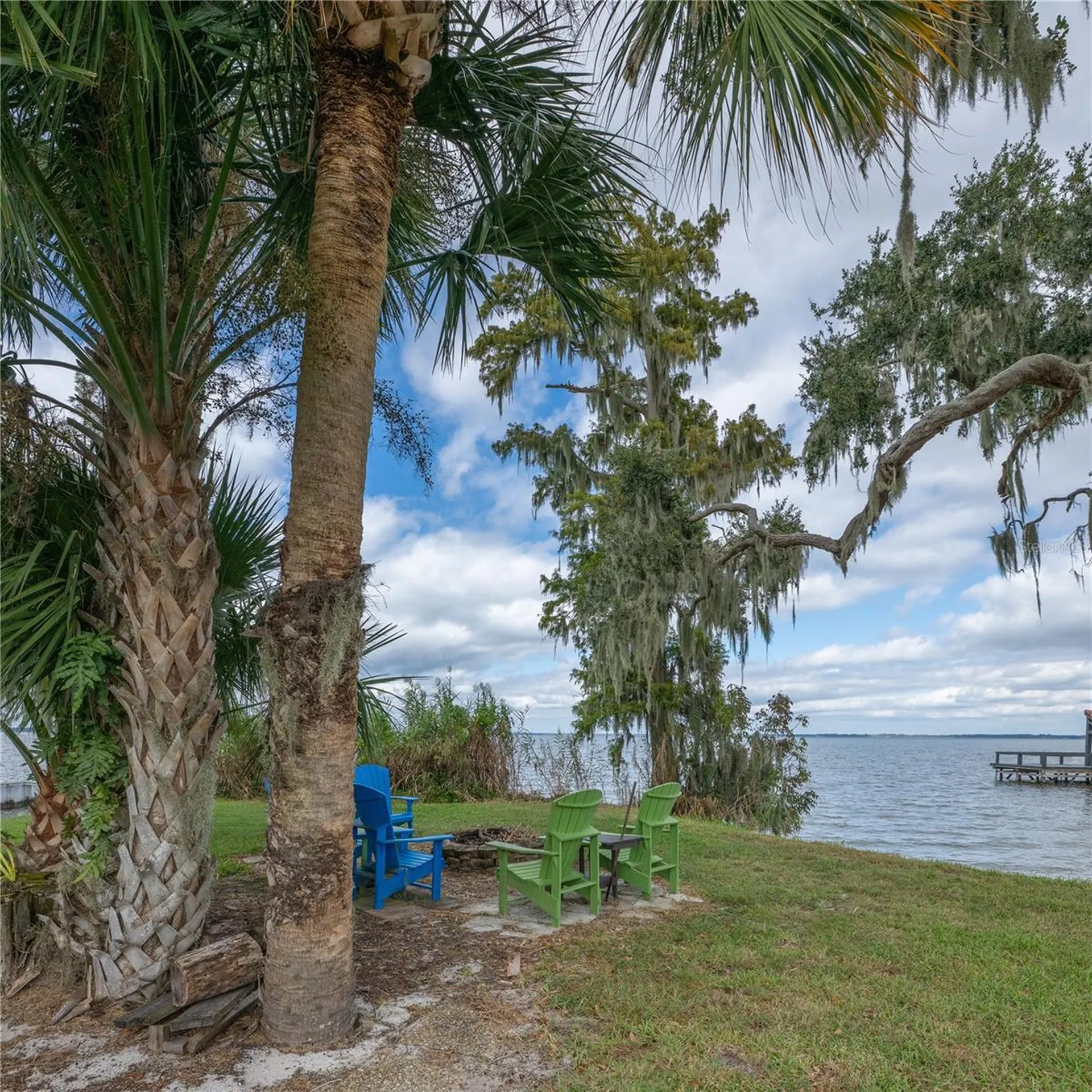 109 Waterwood Drive Yalaha FL 34797