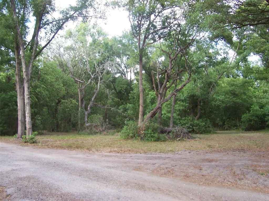 37544 Tucker Road Zephyrhills FL 33541