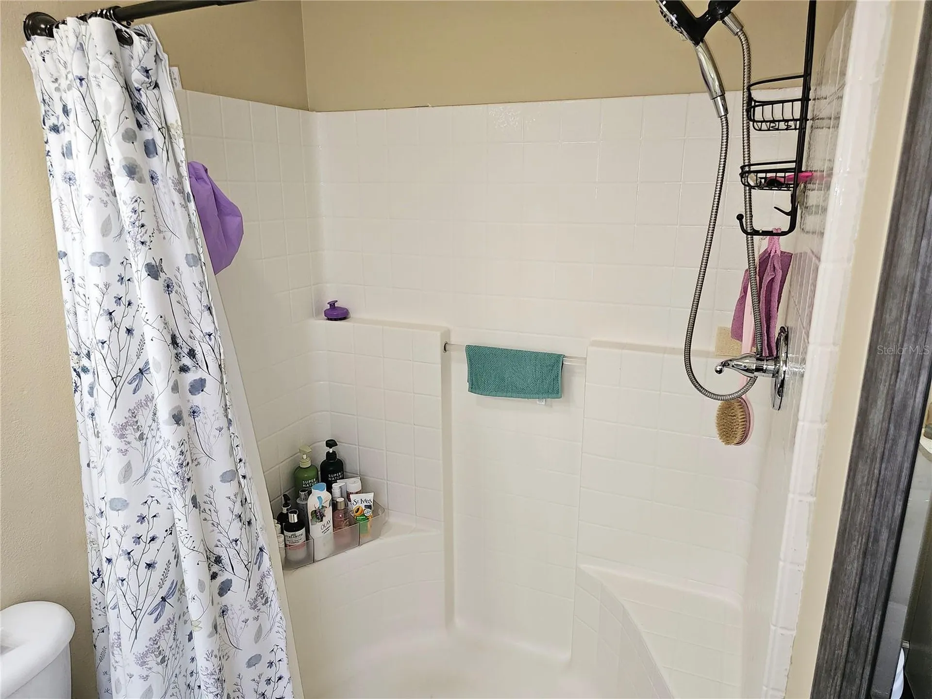 1613 Mosaic Forest Drive Seffner FL 33584