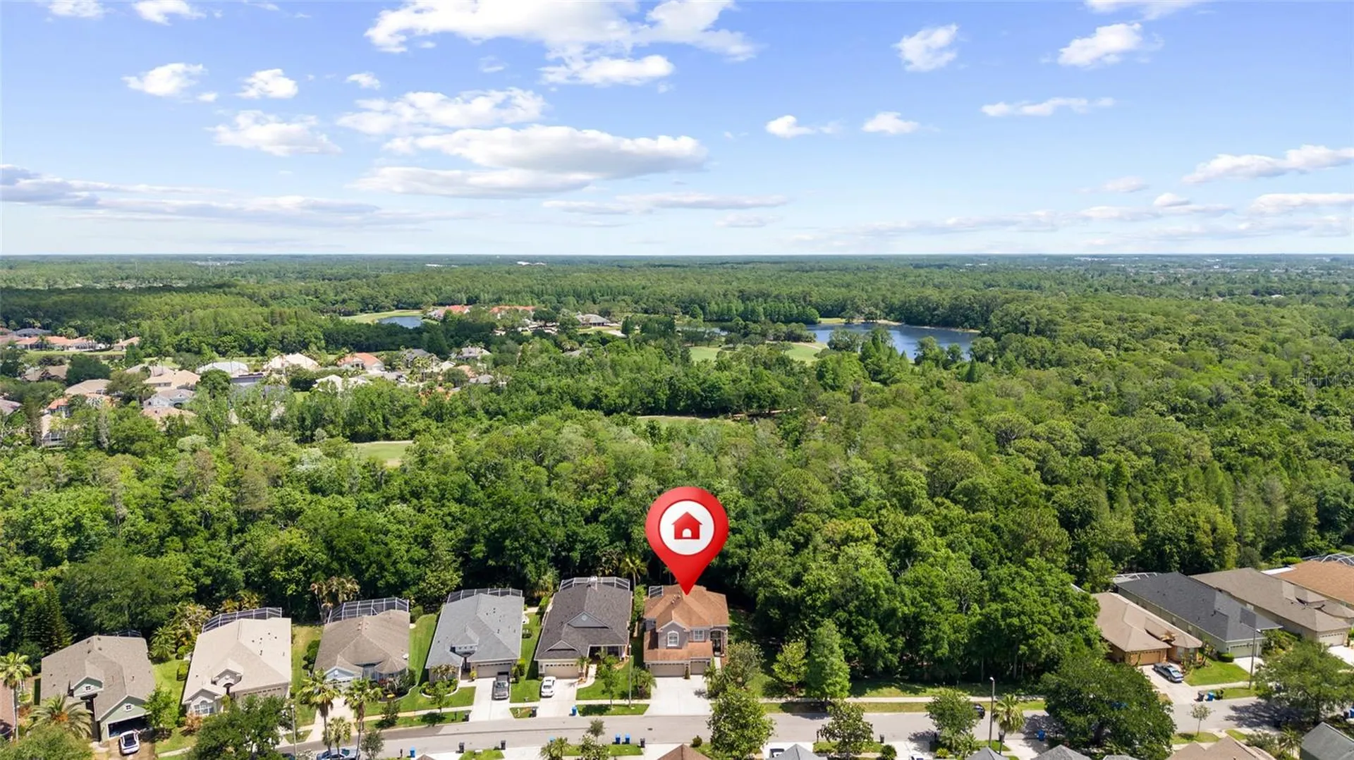 9642 Gretna Green Drive Tampa FL 33626