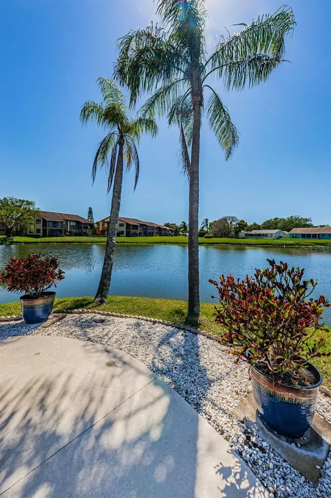 3815 Penrick Drive New Port Richey FL 34652