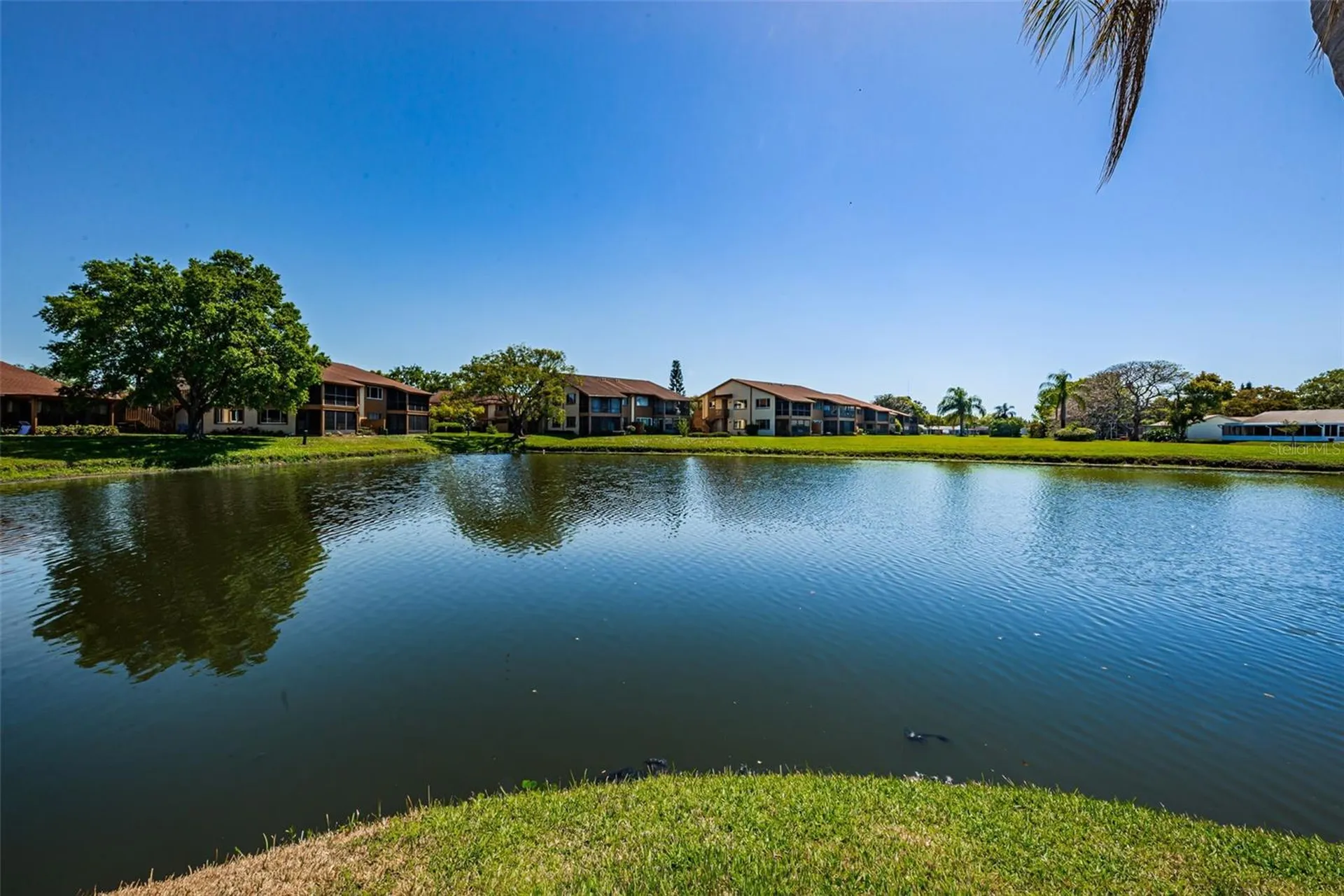 3815 Penrick Drive New Port Richey FL 34652