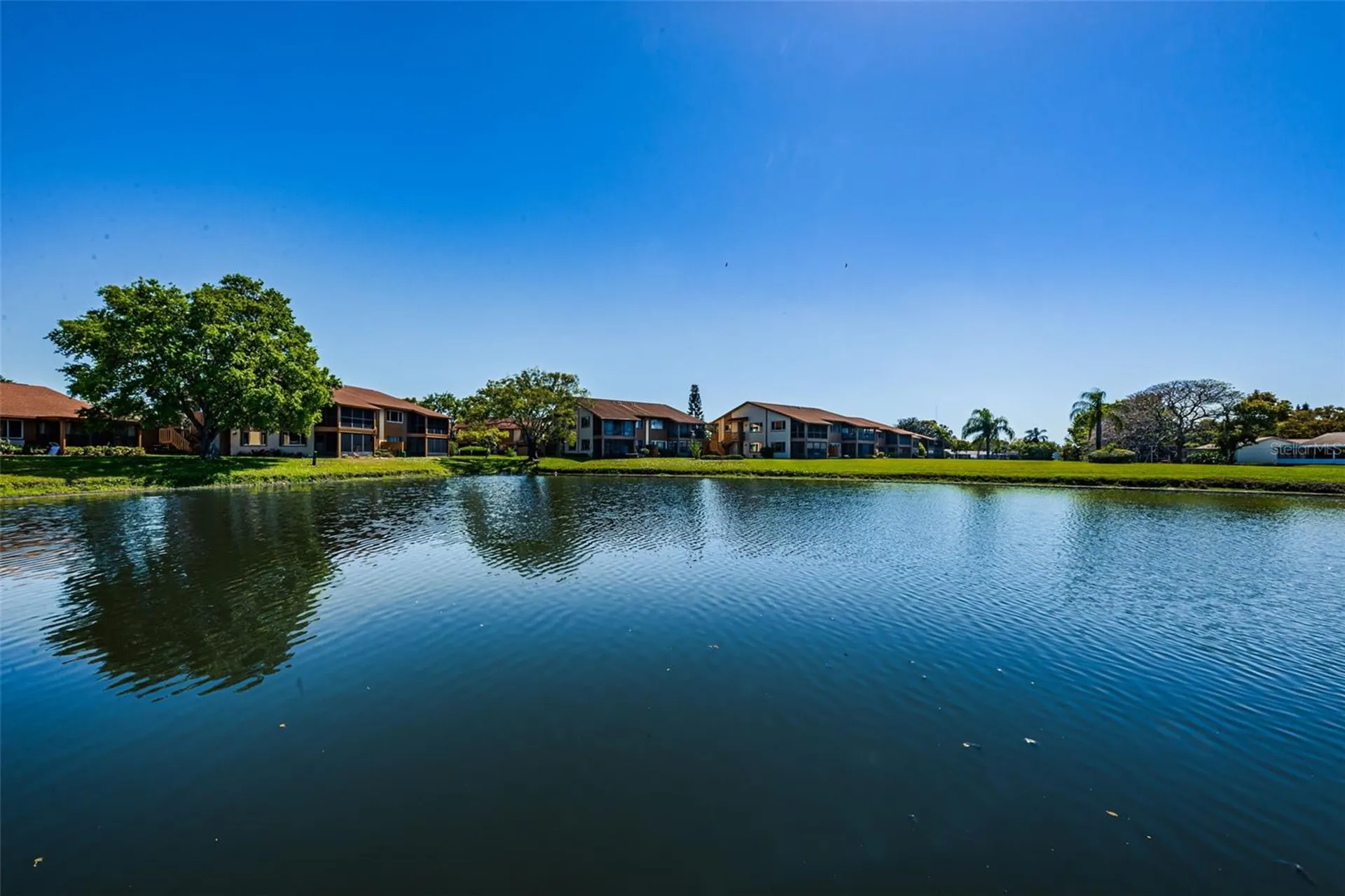 3815 Penrick Drive New Port Richey FL 34652