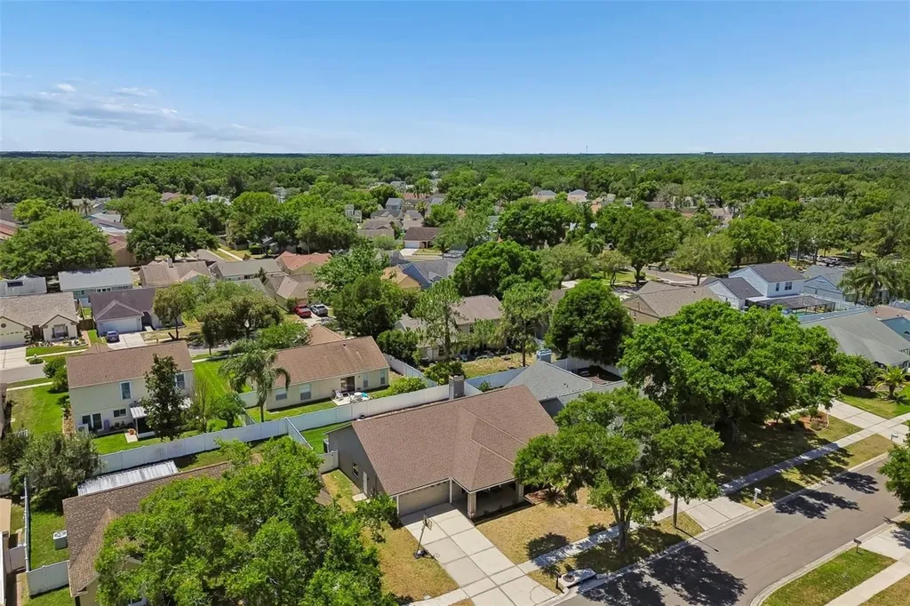 9735 Cypress Pond Avenue Tampa FL 33647