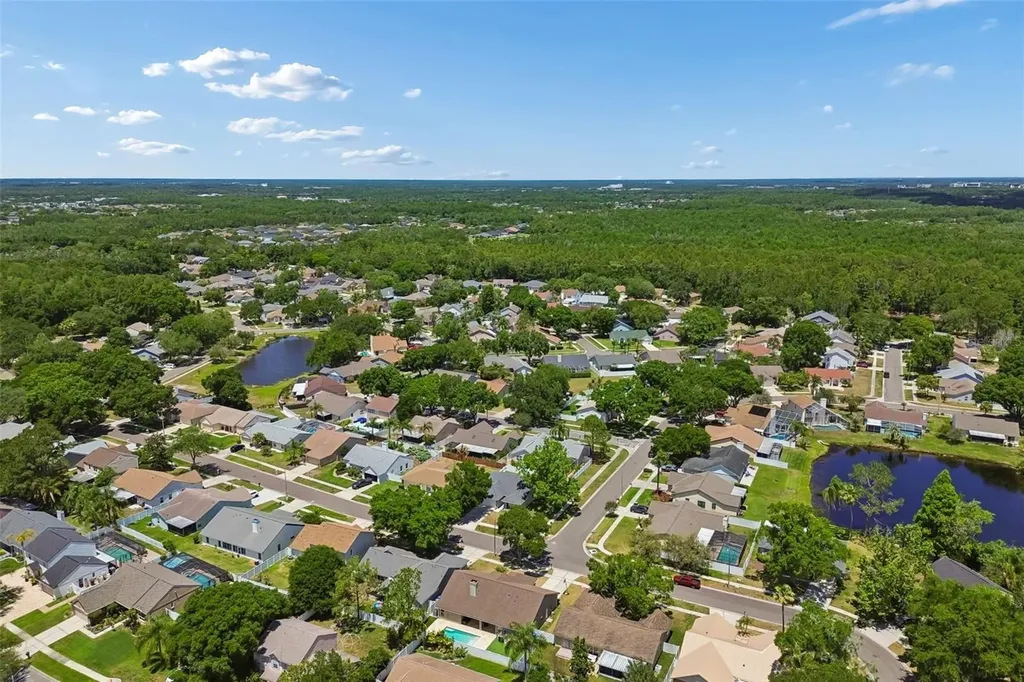 9735 Cypress Pond Avenue Tampa FL 33647