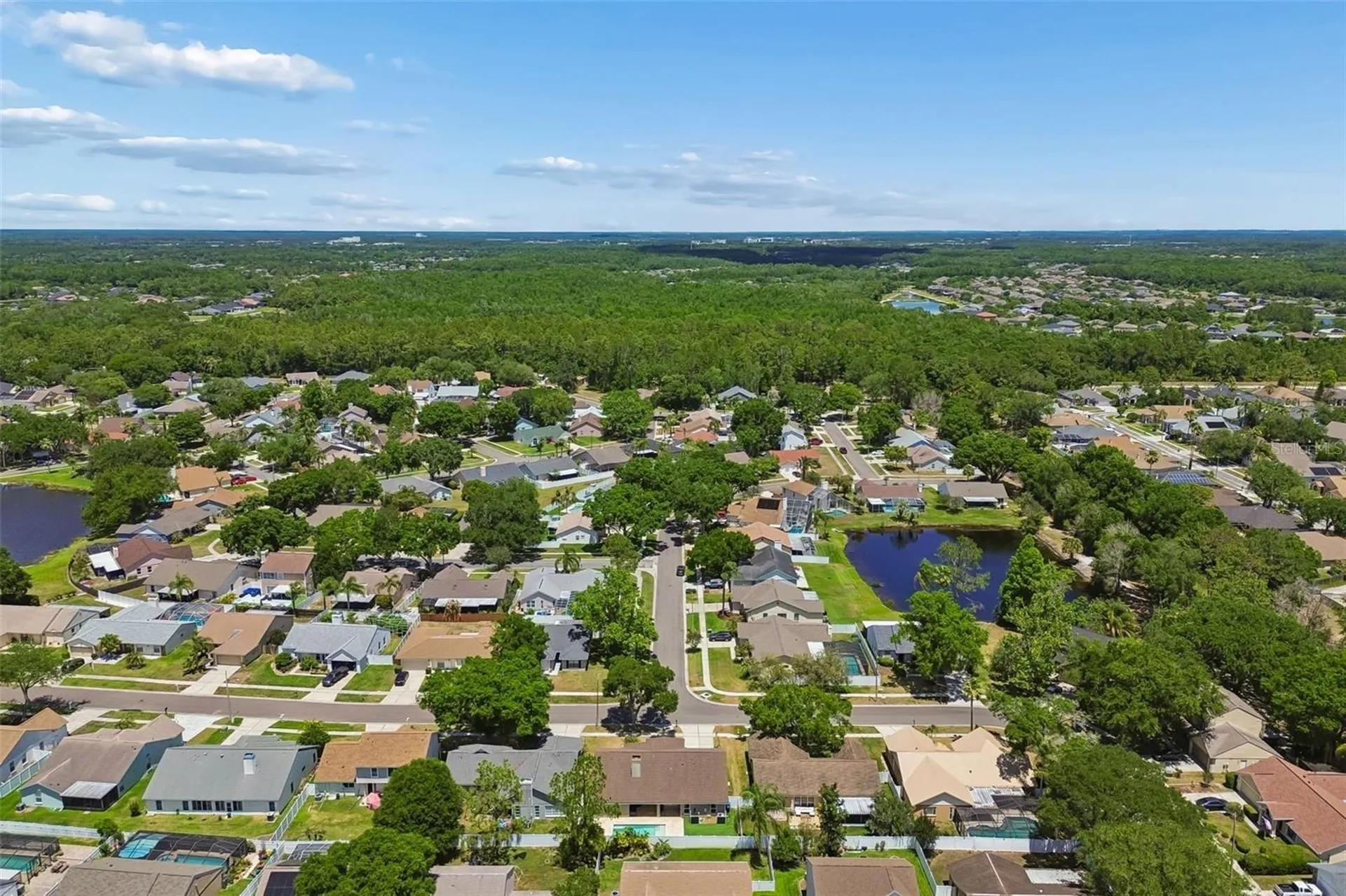 9735 Cypress Pond Avenue Tampa FL 33647
