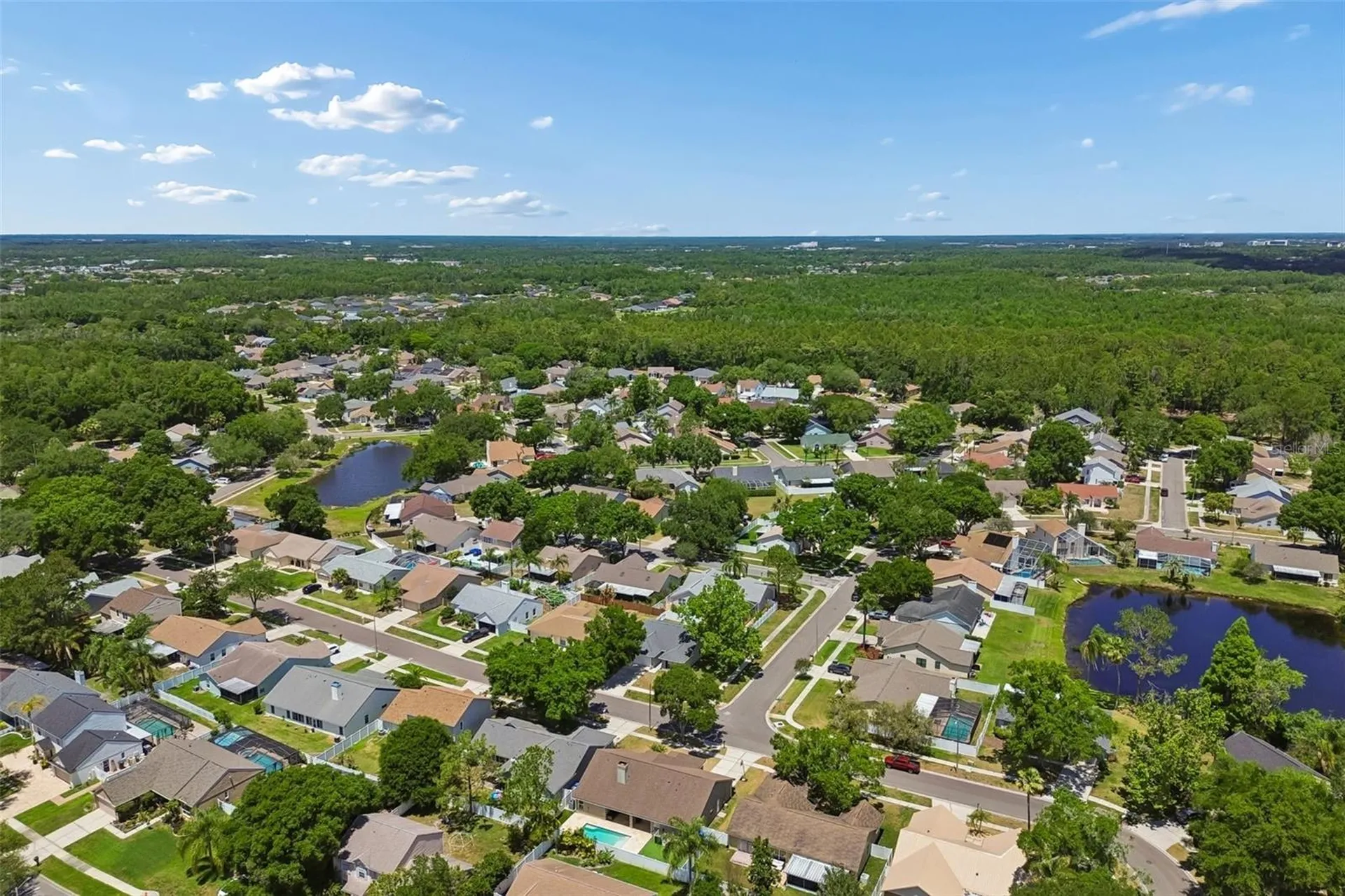 9735 Cypress Pond Avenue Tampa FL 33647
