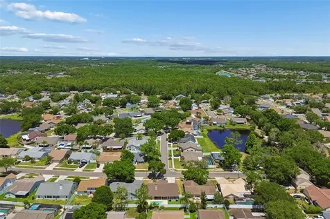 9735 Cypress Pond Avenue Tampa FL 33647