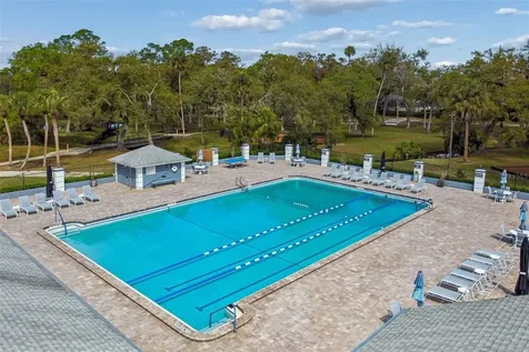 9735 Cypress Pond Avenue Tampa FL 33647