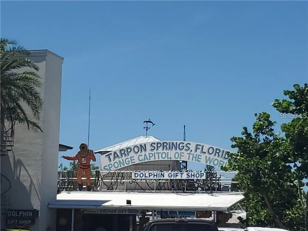 39820 Us Highway 19 N Tarpon Springs FL 34689
