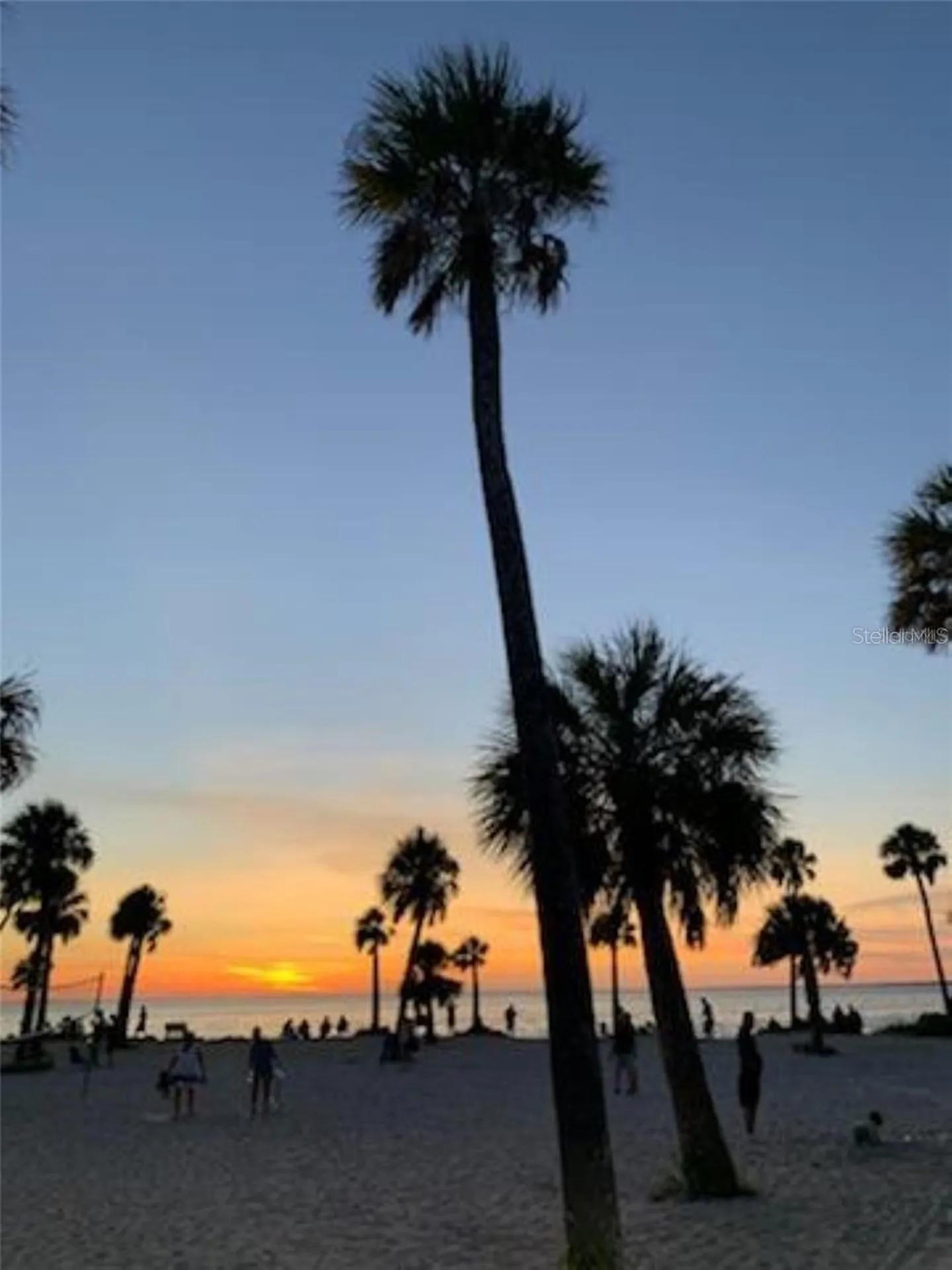39820 Us Highway 19 N Tarpon Springs FL 34689
