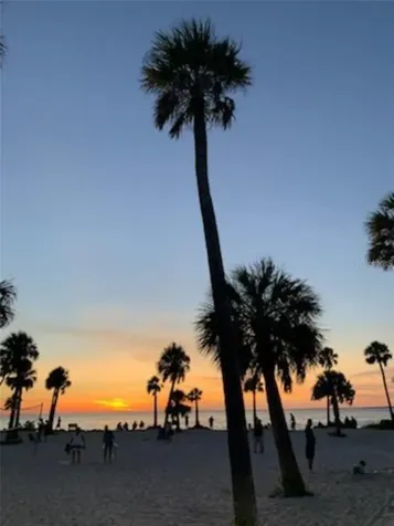 39820 Us Highway 19 N Tarpon Springs FL 34689