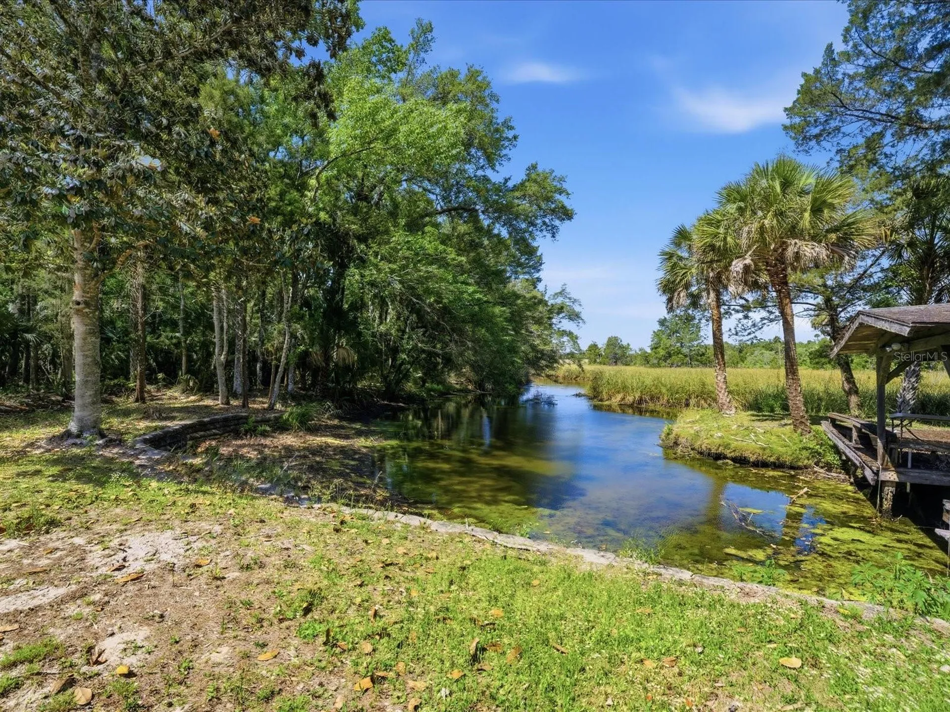 8979 W White Dogwood Drive Homosassa FL 34448